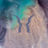 Artwork for "Cosmos"