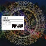 Portada para "Ornament"