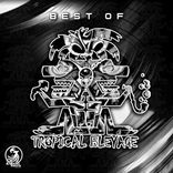 Artwork voor "Best Of Tropical Bleyage"