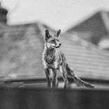 Artwork for "PROBLEM"