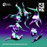 Voices From the Forest