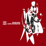 Portada para "Cosmic Information"