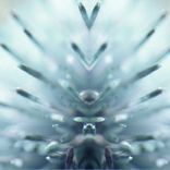 Artwork for "Textural Radiation"