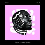 Tulum (Anorre Extended Remix)