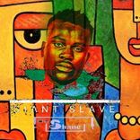 Artwork für "Giant Slave"