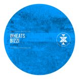 Portada para "Bizzi"