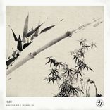 Portada para "What You Did / Through Me"