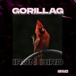 Iron Bird