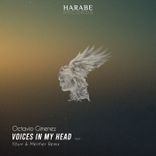 Artwork for "Voices in My Head"