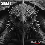 Artwork for "303 All Night"