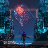 Artwork für "Commander"