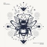 Artwork for "Magma EP"