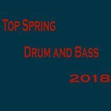 Artwork for "Top Spring Drum & Bass 2018"
