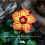 Artwork voor "Find the Secret"