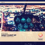 Artwork für "Night Flight"