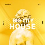 Artwork voor "Big City House, Vol. 4"
