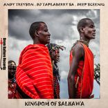 Artwork voor "Kingdom of Salhawa"
