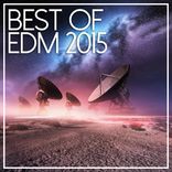 Artwork voor "Best Of EDM 2015"