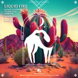 Artwork for "Liquid Fire"