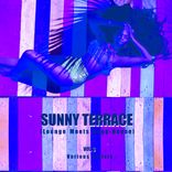 Artwork voor "Sunny Terrace (Lounge Meets Deep House), Vol. 3"
