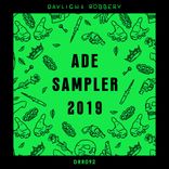 Artwork for "ADE Sampler 2019"