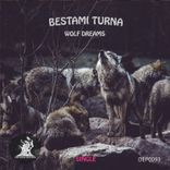 Artwork for "Wolf Dreams"