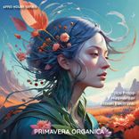 Artwork voor "Dwellers of the Wind"