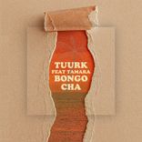 Artwork für "Bongo Cha"