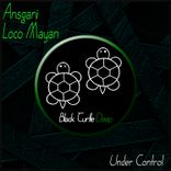 Artwork for "Under Control"