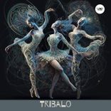 Artwork for "Tribalo"