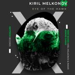 Artwork for "Eye of the Hawk"