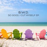 Artwork voor "So Good, I Cut Myself"