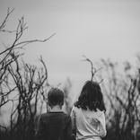 Artwork for "Destroyed Landscape"