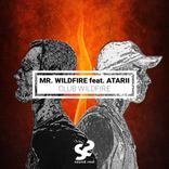 Artwork voor "Club WildFire"