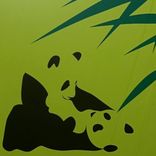 Artwork für "Bon Bon (Confidence Man Remix)"