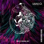 Artwork voor "Macete"