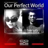 Artwork for "Our Perfect World"