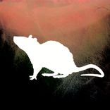 Artwork for "Excesses Paradise"