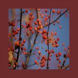 Artwork for "Fair Wind EP"