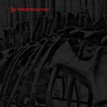 The Fruit For The Tree