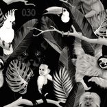 Artwork for "Mandejema"