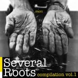 Artwork for "Several Roots Compilation, Vol. 1"