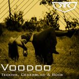 Portada para "Voodoo"