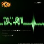 Artwork for "Pulse"