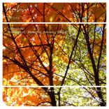 Portada para "Mosaic"