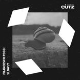 Artwork for "Slowly"