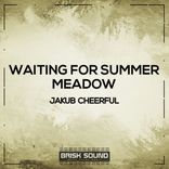Artwork voor "Waiting for Summer / Meadow"