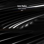 Portada para "Public Enemies"