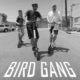Artwork for "Bird Gang"