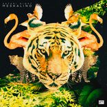 Artwork for "Safari Night"